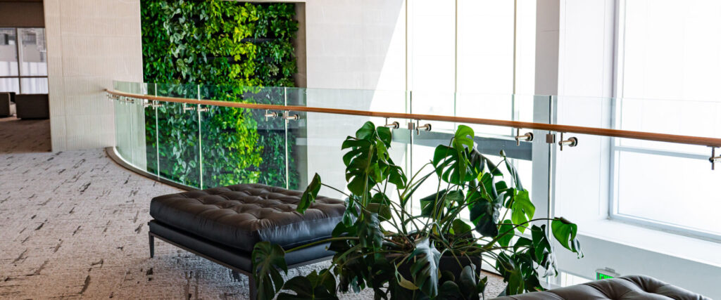 Why Businesses in Reno Are Adding Plants