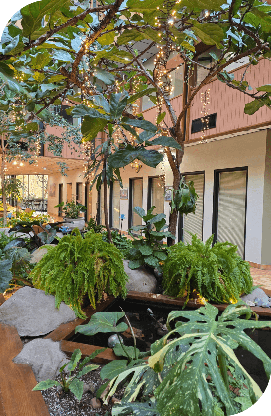 Airport Gardens