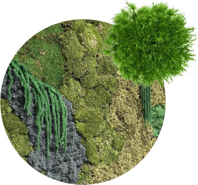 Moss Walls