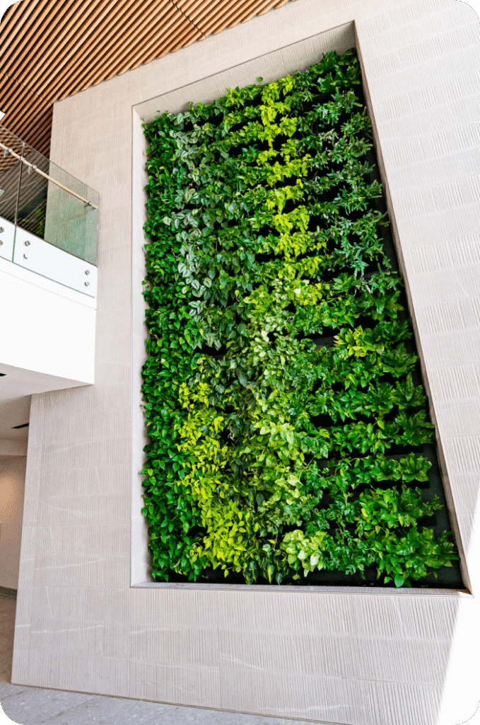 Living Plant Walls Designed to Thrive