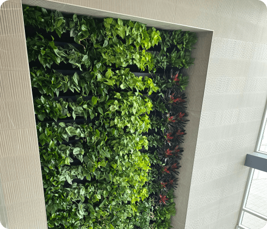 Sparks Living Wall